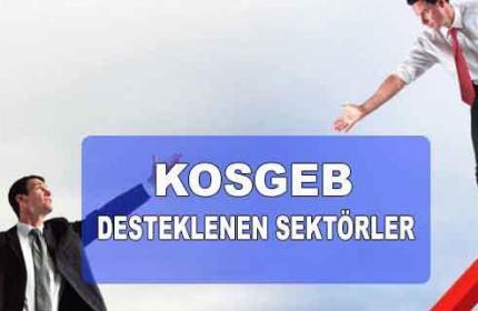 KOSGEB Desteklenen Sektörler 2022