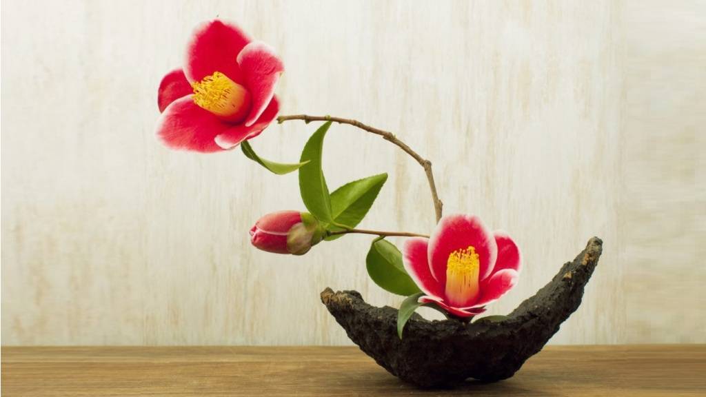 Japon Çiçek Düzenleme Sanatı : İkebana