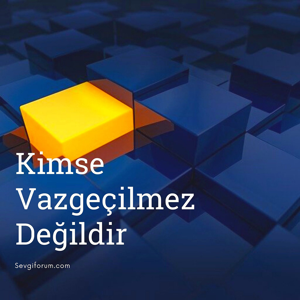 Kimse Vazgeçilmez Değildir