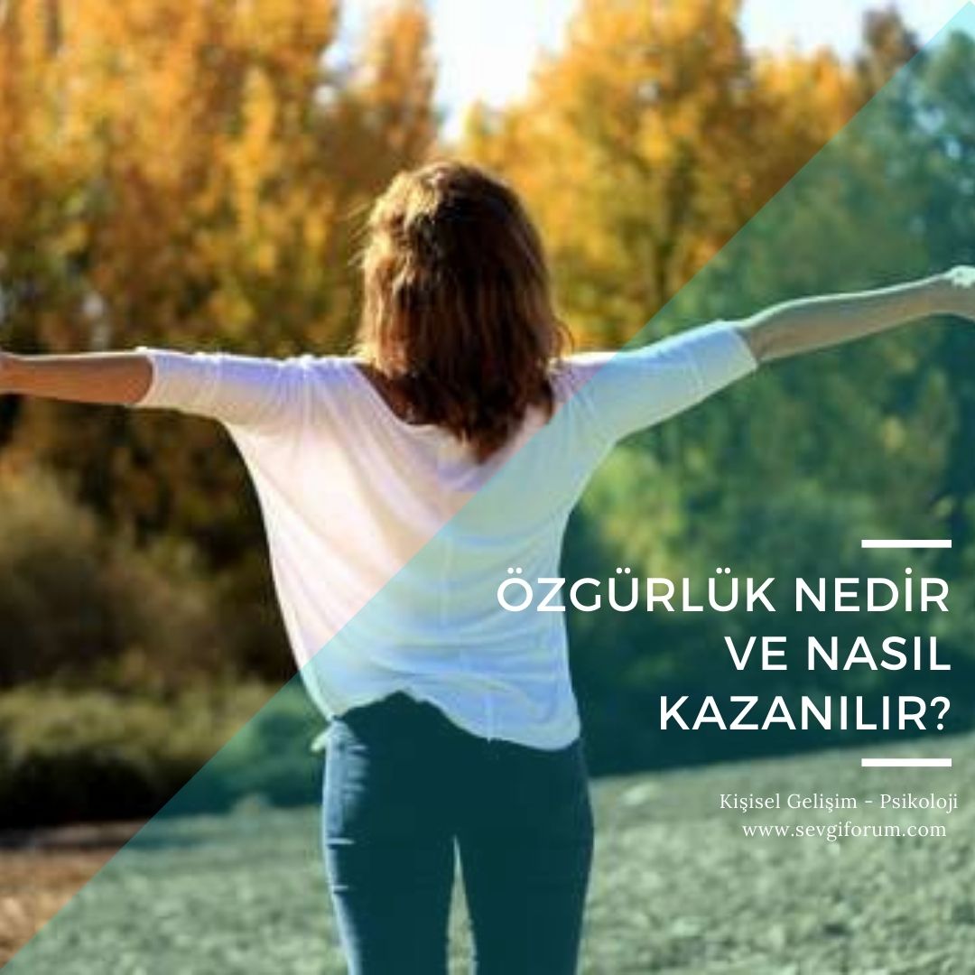Özgürlük Nedir ve Nasıl Kazanılır?