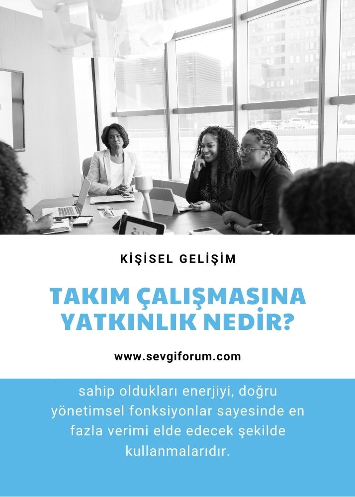 Takım Çalışmasına Yatkınlık Nedir?