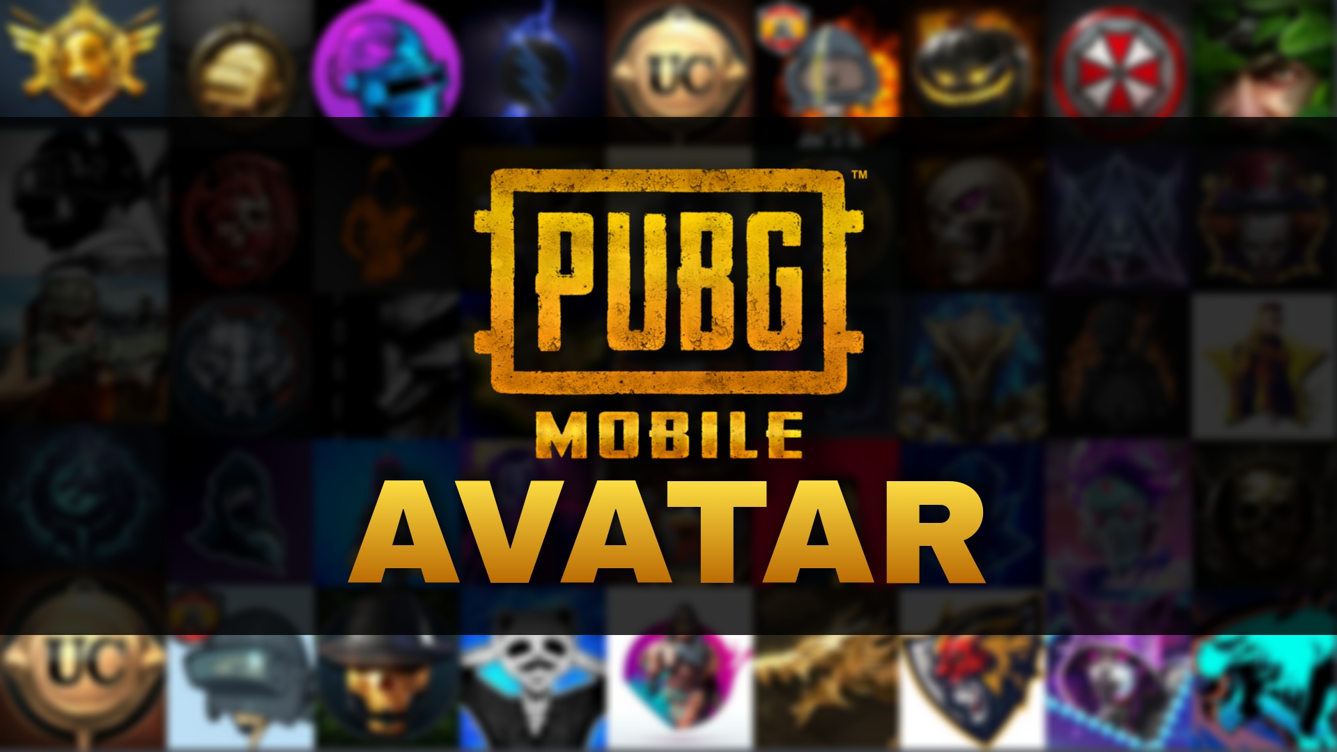PUBG Mobile En iyi 15 Avatar: Fatih Avatarı, The Fool Avatarı