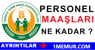 Tarım Kredi Kooperatifleri Kooperatif Görevlisi Maaşları