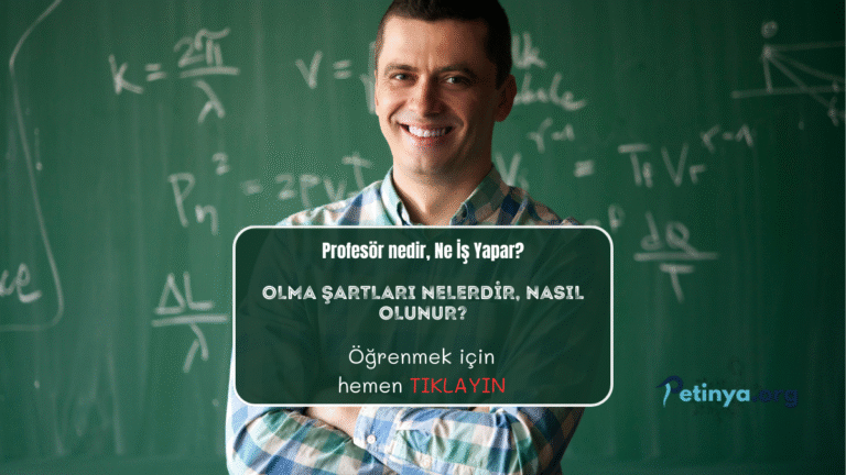 profesor nasil olunur