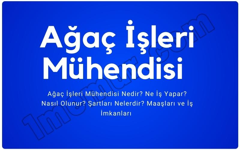 Ağaç İşleri Mühendisi Nedir?