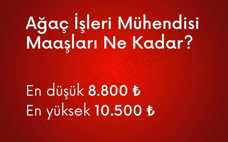 agac isleri muhendisi Maasi Ne Kadar