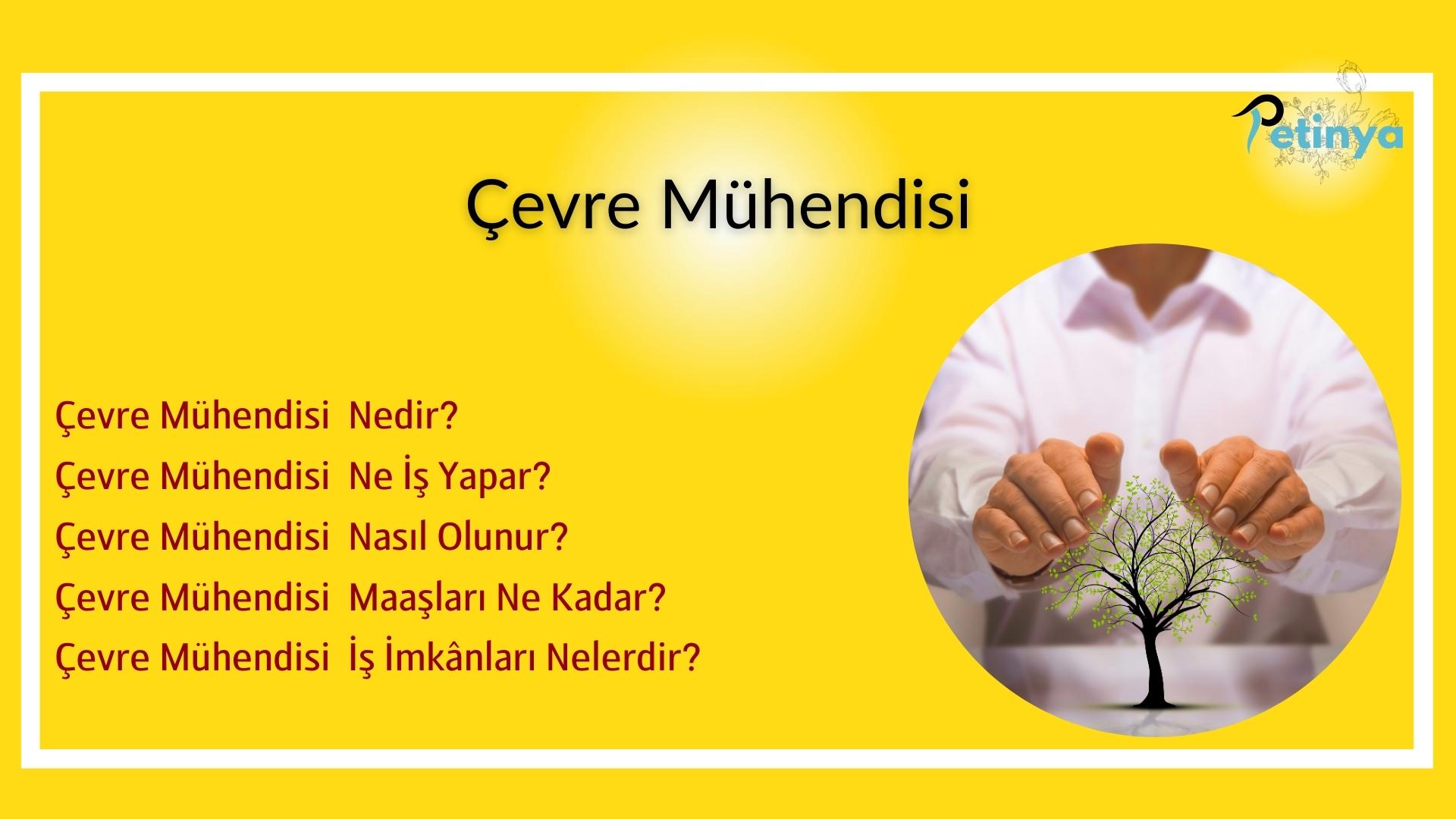 Çevre Mühendisi Nedir? Maaşları ve İş İmkanları