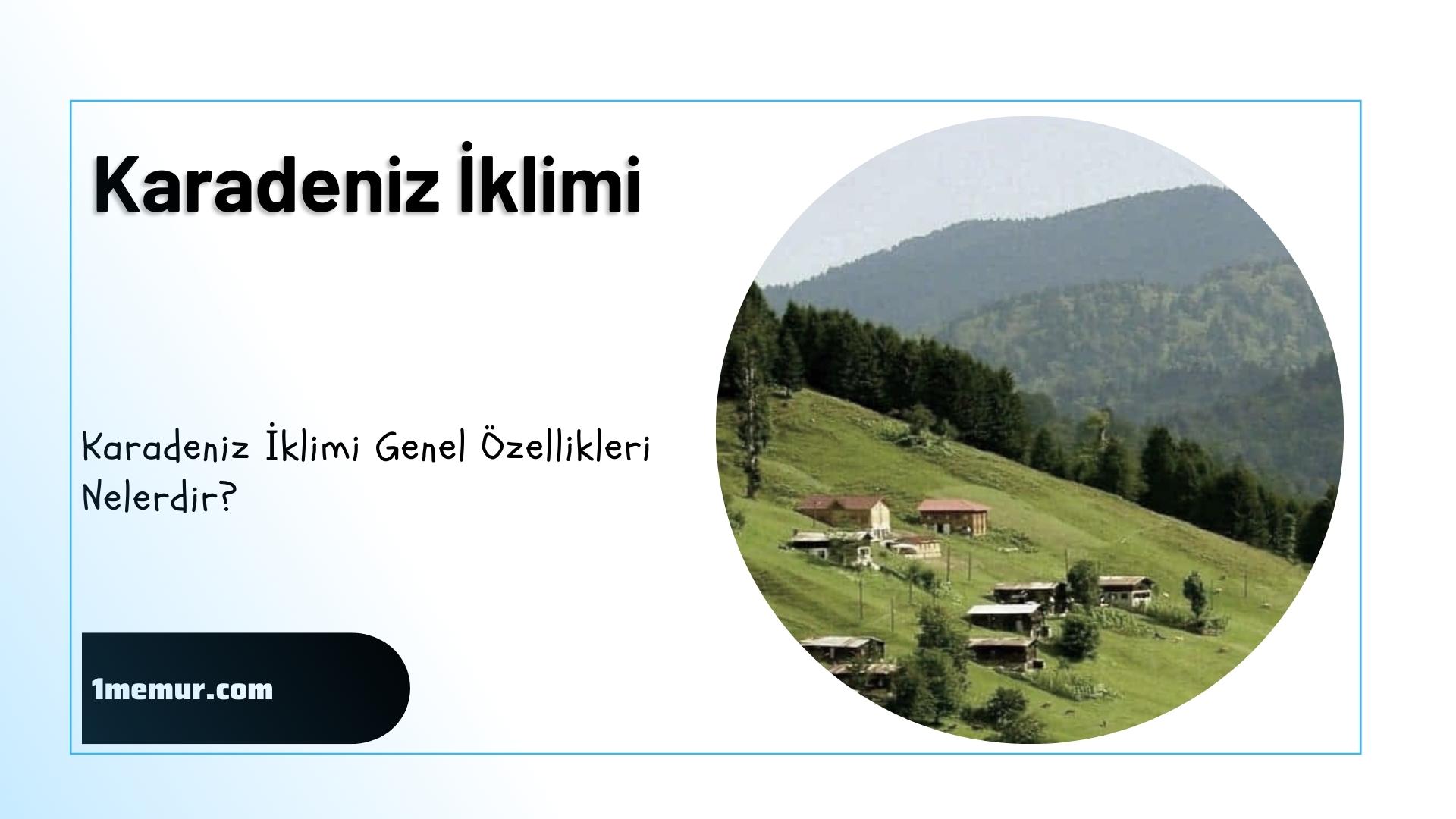 Karadeniz iklimi
