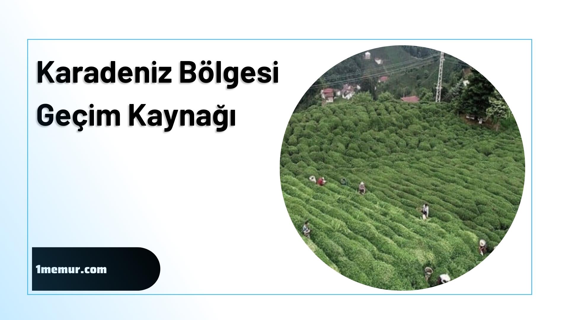 karadeniz bolgesi gecim kaynagi