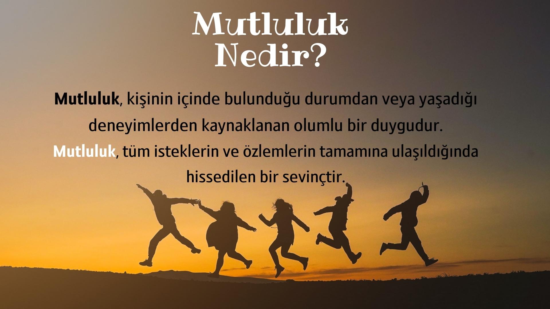 Mutluluk Nedir? Bütün Özlemlere Ulaşmak mıdır?