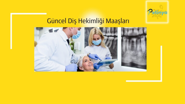 dis hekimligi maaslari