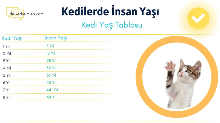 kedi yasi heaplama