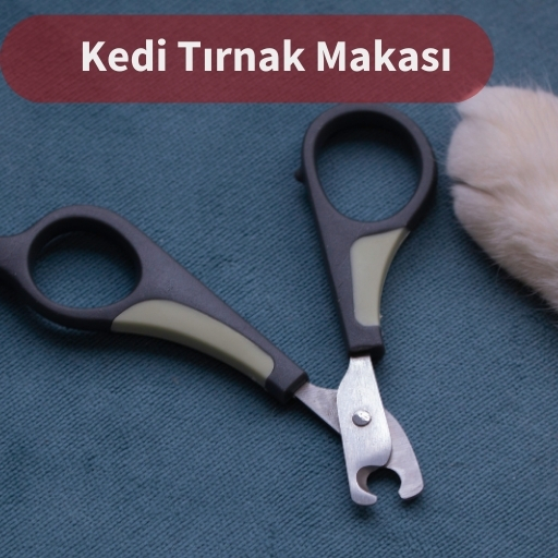 Kedi Tırnak Makası
