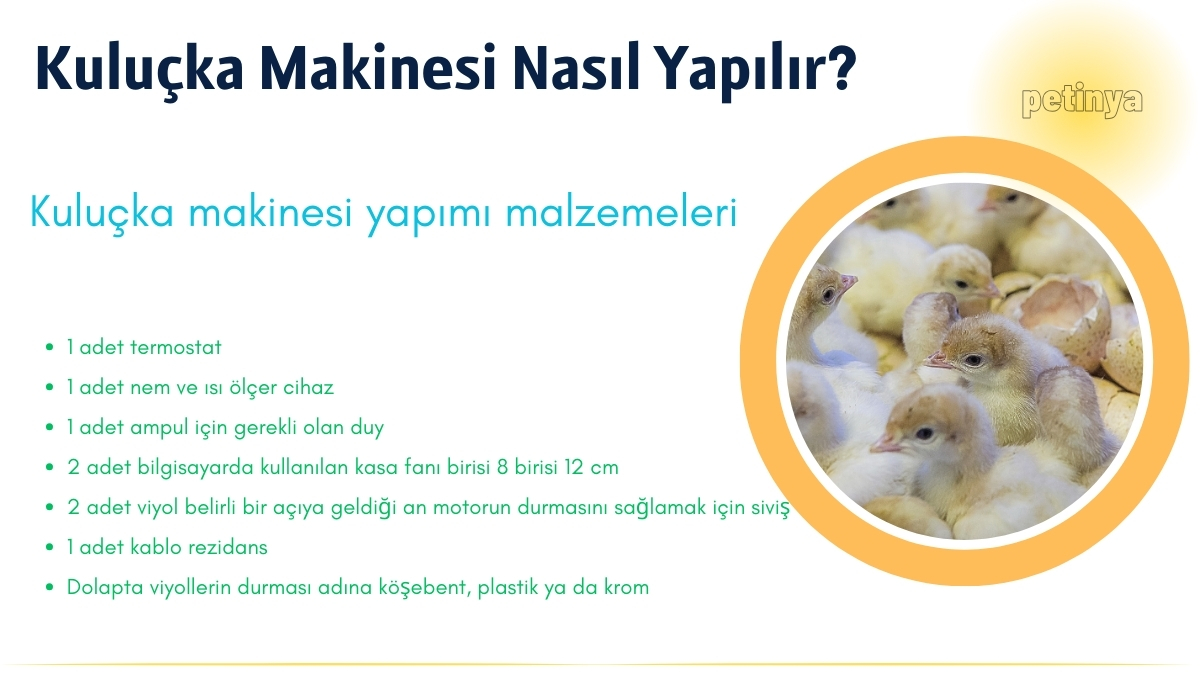 Kuluçka Makinesi Yapımı Malzemeleri Nelerdir? Kuluçka Makinesi Nasıl Yapılır?