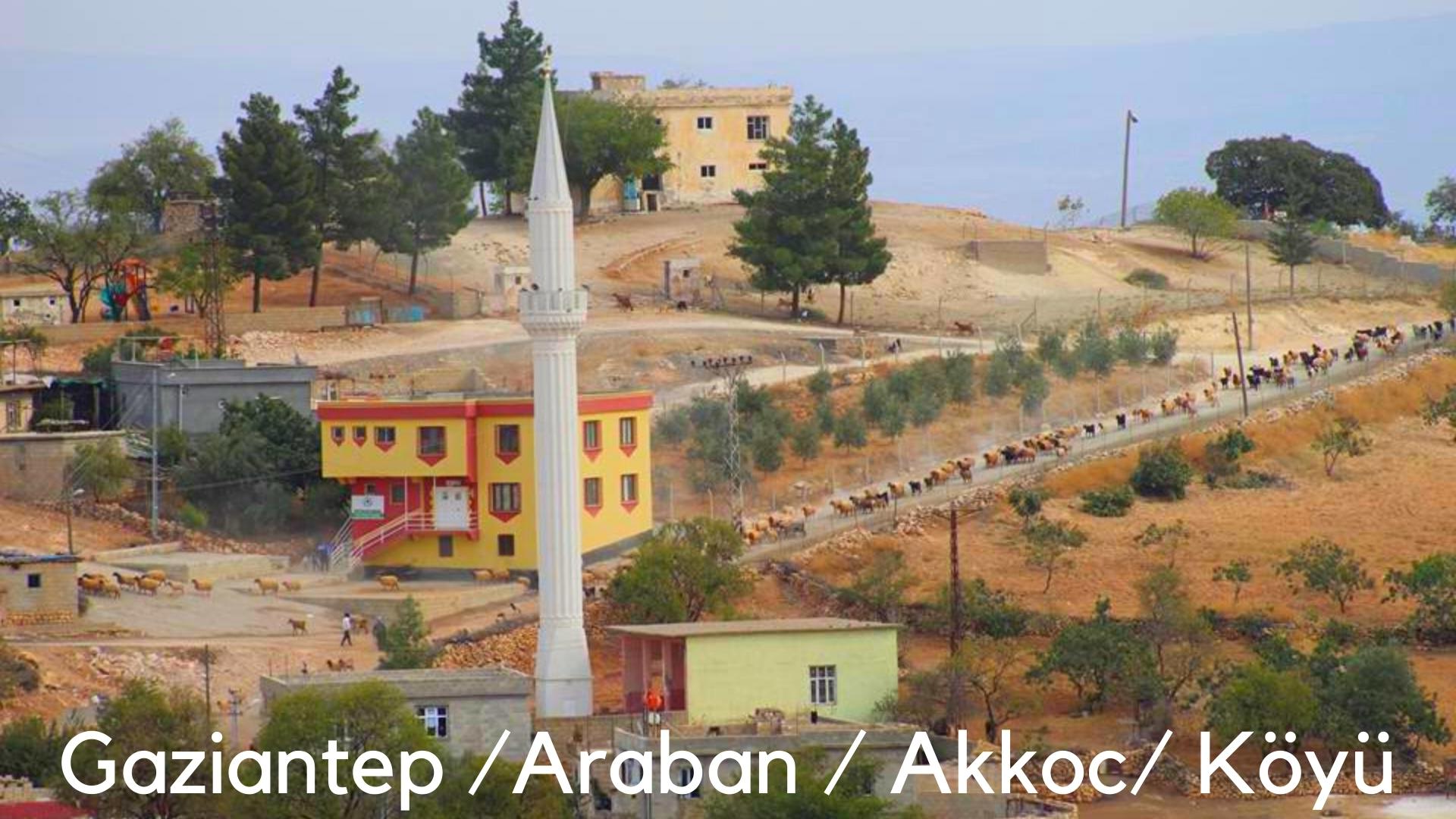 gaziante araban akkoc mendollu koyu