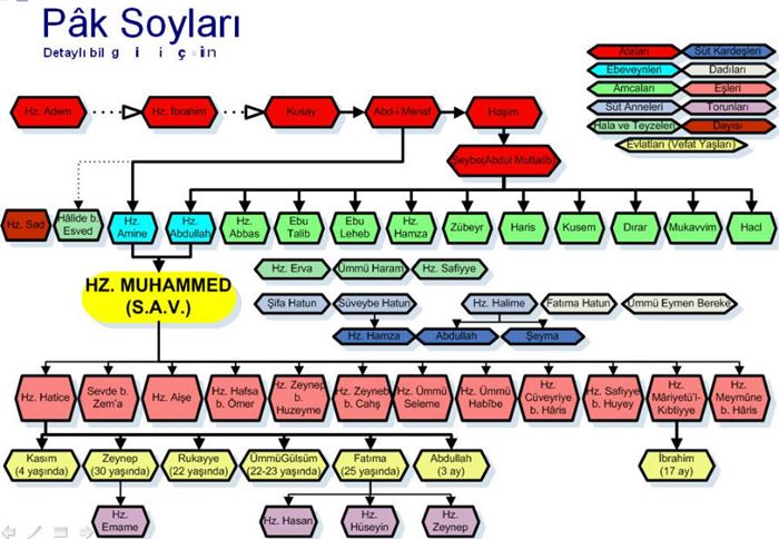 Peygamberimizin aile soy ağacı şema şeklinde gösteriniz