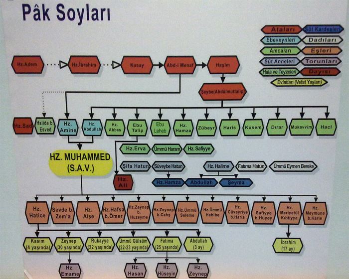 Peygamberimizin soyu hala devam ediyor mu? ediyosa bunlar kimler?