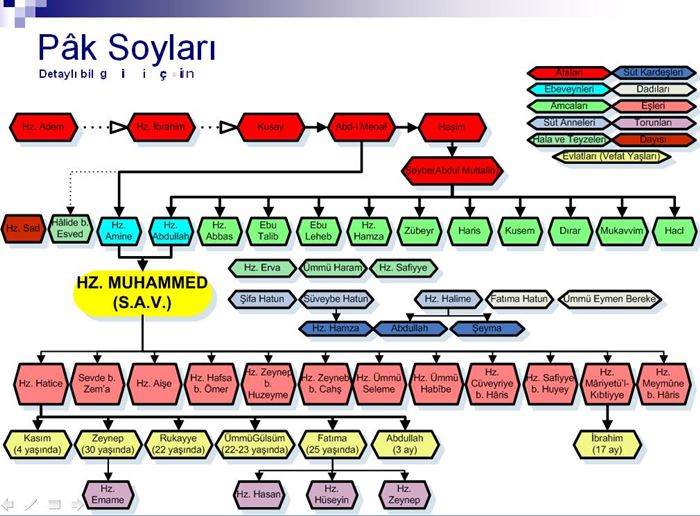 Hz. muhammedin soy ağacı kısaca