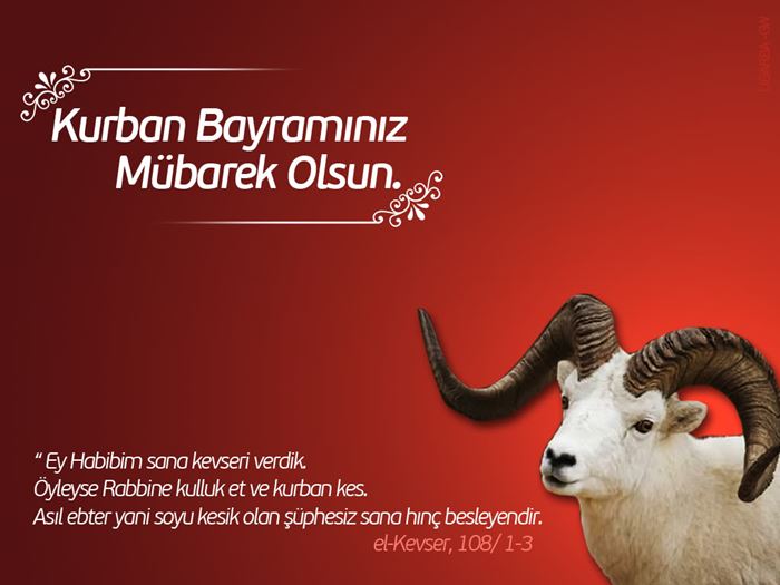Kurban bayramı görselleri