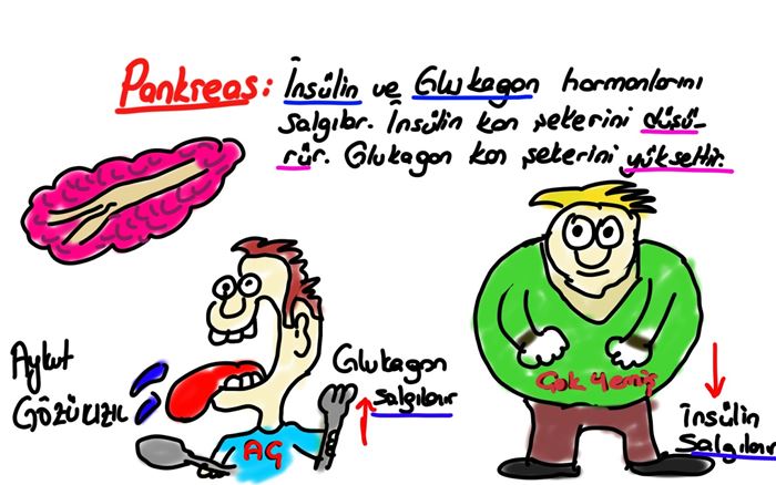 Resimli odada namaz kılmak caiz mi