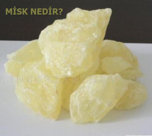 Misk kokusu nedir?