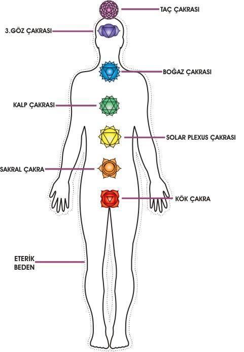 Çakralar Gerçek Mi ?
