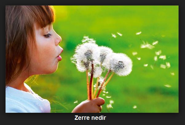 Zerre kadar iman nedir