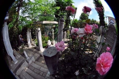 Mehmet Emin Tokadi Hz Türbesinin yeri/adresi