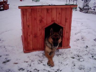 Canlıların Yuvaları