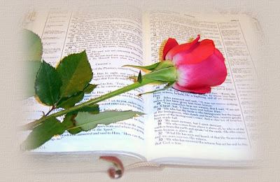 Sahabenin Peygamber Aşkı