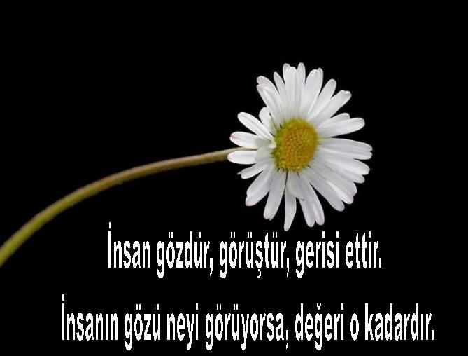 Hazreti mevlanadan güzel sözler