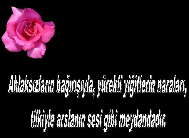 Hazreti mevlanadan güzel sözler