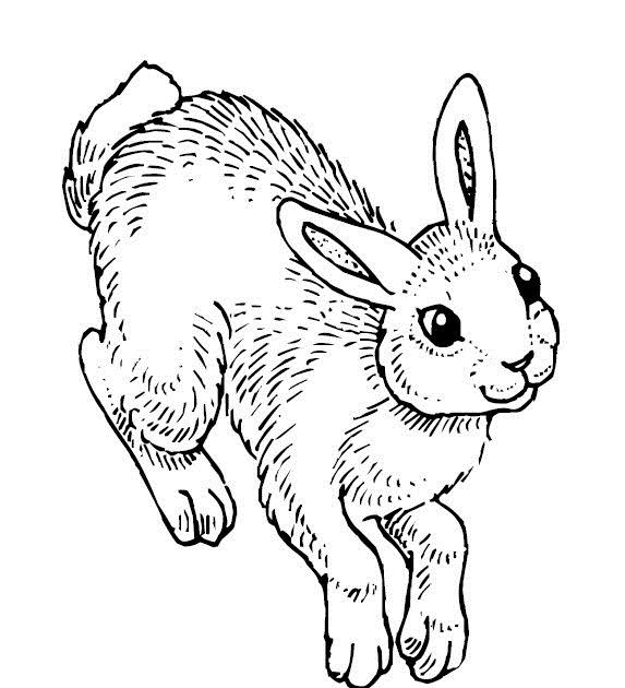 Çoçuklara Sevimli Tavşan Resimleri (Boyama Resimleri)