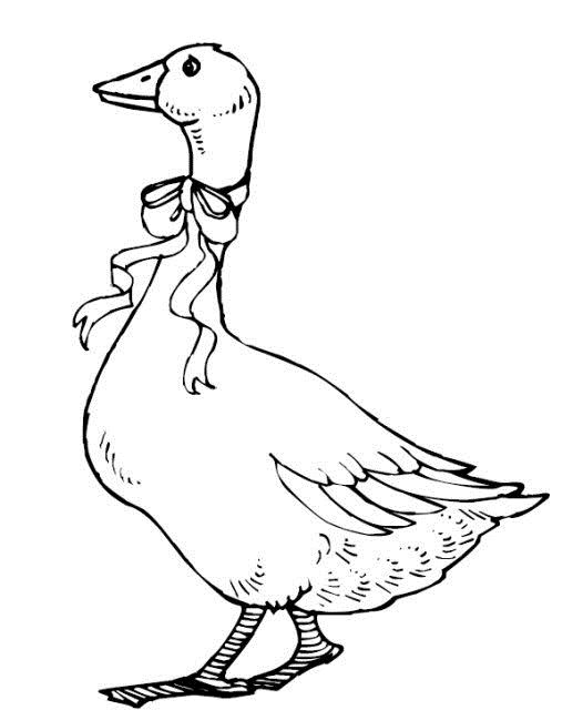 Çoçuklara Sevimli kaz Resimleri (Boyama Resimleri)