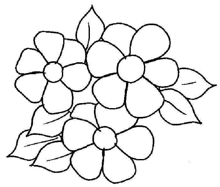 Çoçuklar İçin  Demet Gül Resimleri (Boyama Resimleri)