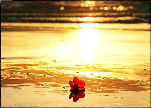 Visal firak demektir, vuslat firkat.