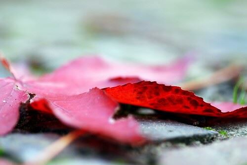 Söyle ey Yâr!!!!Hüznümü Sana nasıl arzetmeliyim?