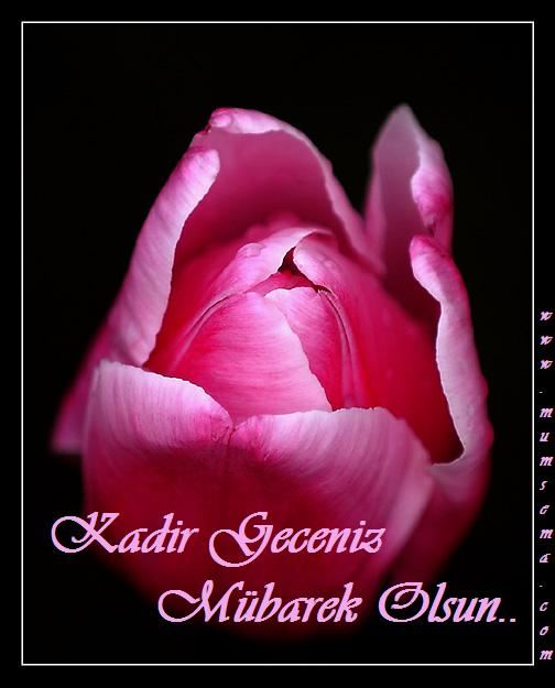 Kadir Gecesi İle İlgili Resimler