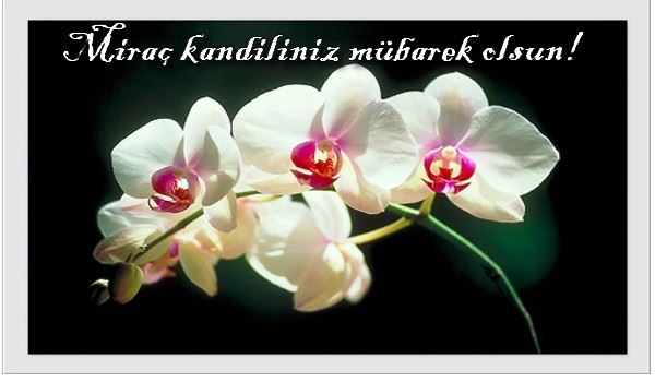 Mirac kandili resim ve kartlar