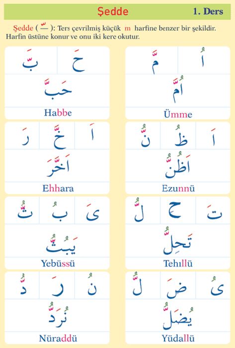 ELİF Be (Resimli(Kuran Öğrenin çocuklar)