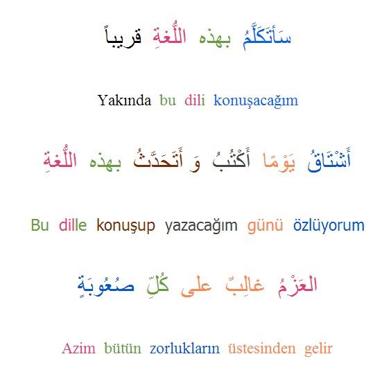 Günlük 3 Arapça Cümle Ezberle