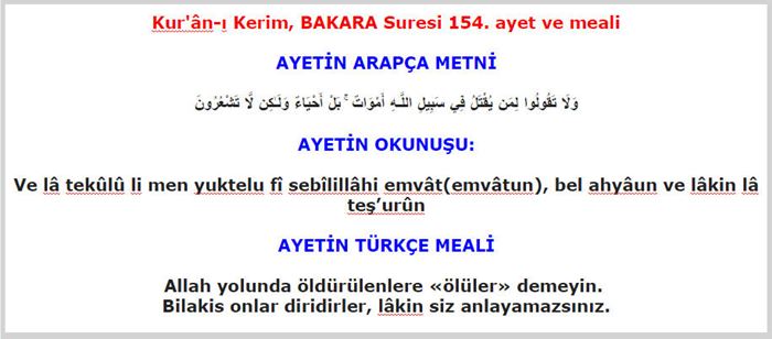 Allah yolunda ölenlere ölüler demeyiniz ayeti