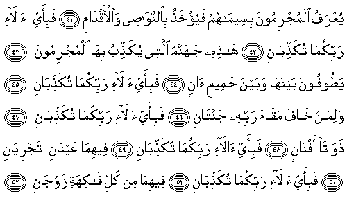 Kuran’ı Kerim Arapça (rahman Suresi ve türkcesi )
