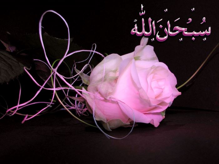 SübhanAllah ne demektir?