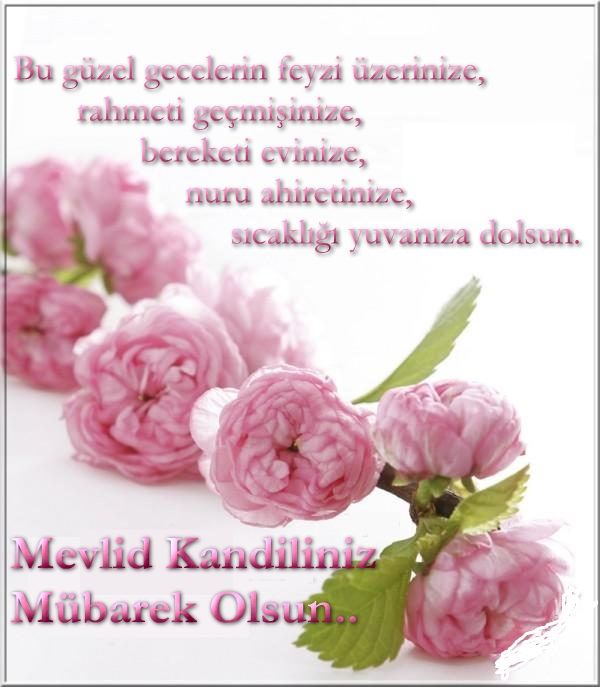 Mevlid kandili resim ve kartlar