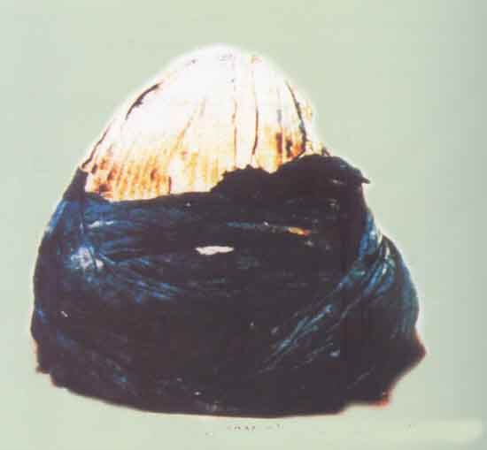 Peygamber Efendimizin Kişisel Eşyaları