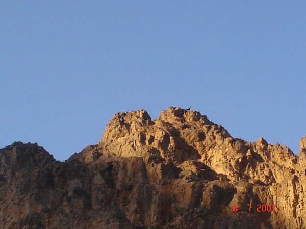 Medineden Görüntüler