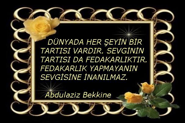 Alimlerden Güzel Sözler