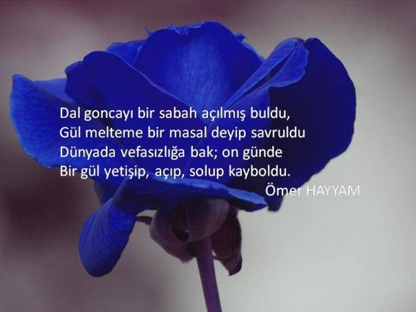 Alimlerden Güzel Sözler