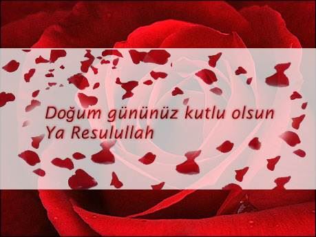 Kutlu doğum haftası ile ilgili görseller